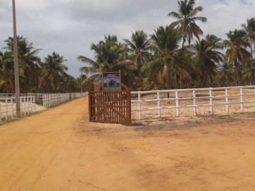 Lote - Venda - Zona Rural - Feliz Deserto - AL